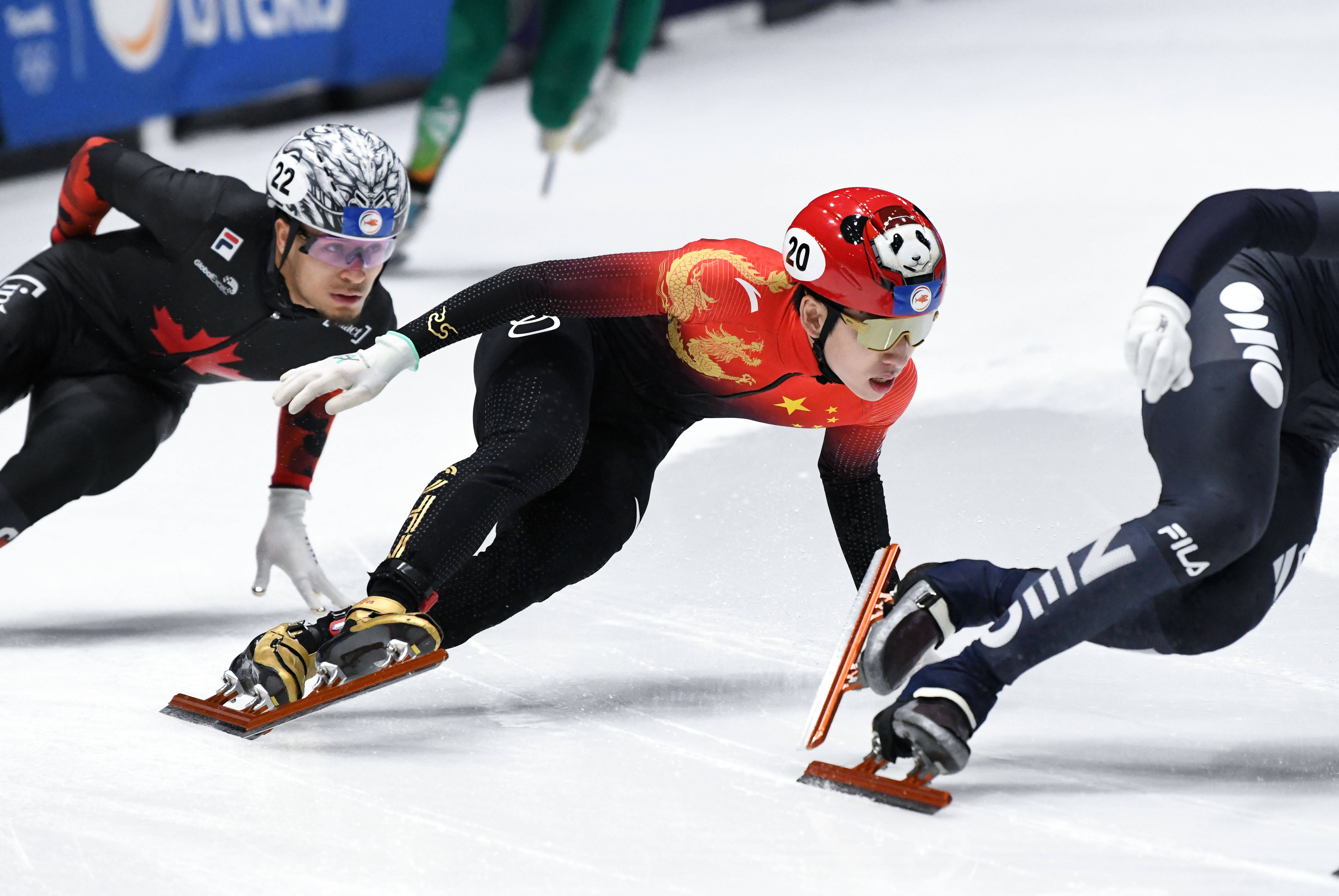 半岛体育app下载地址-关于波兰队势如破竹，晋级欧预赛决赛的信息