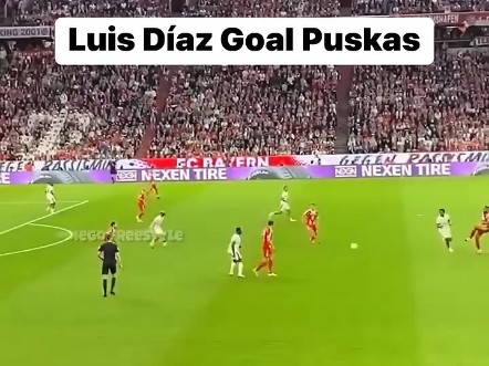 半岛体育官方-迪马利亚破门无效，巴黎无缘决赛再次的简单介绍